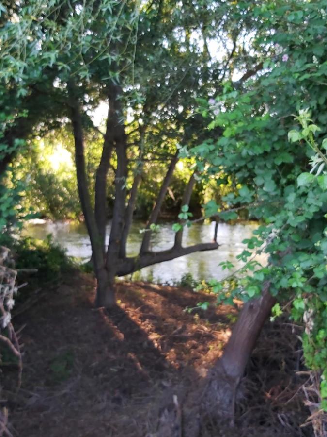 Durmiendo Entre Arboles, Bonita Cabana En La Rioja Anguciana Esterno foto