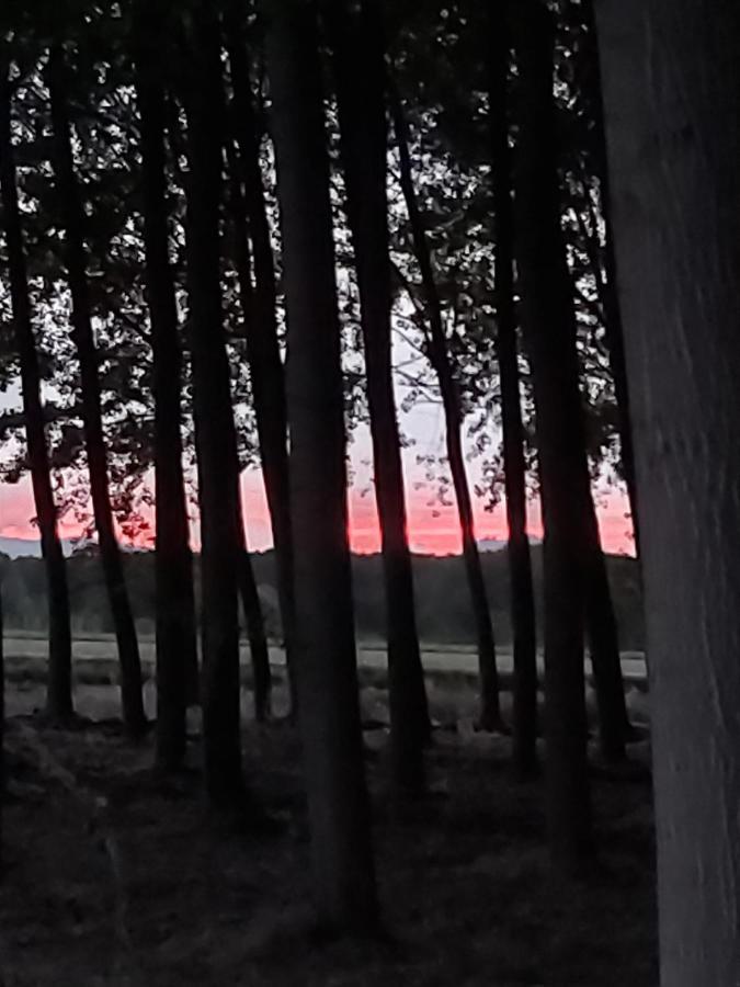 Durmiendo Entre Arboles, Bonita Cabana En La Rioja Anguciana Esterno foto
