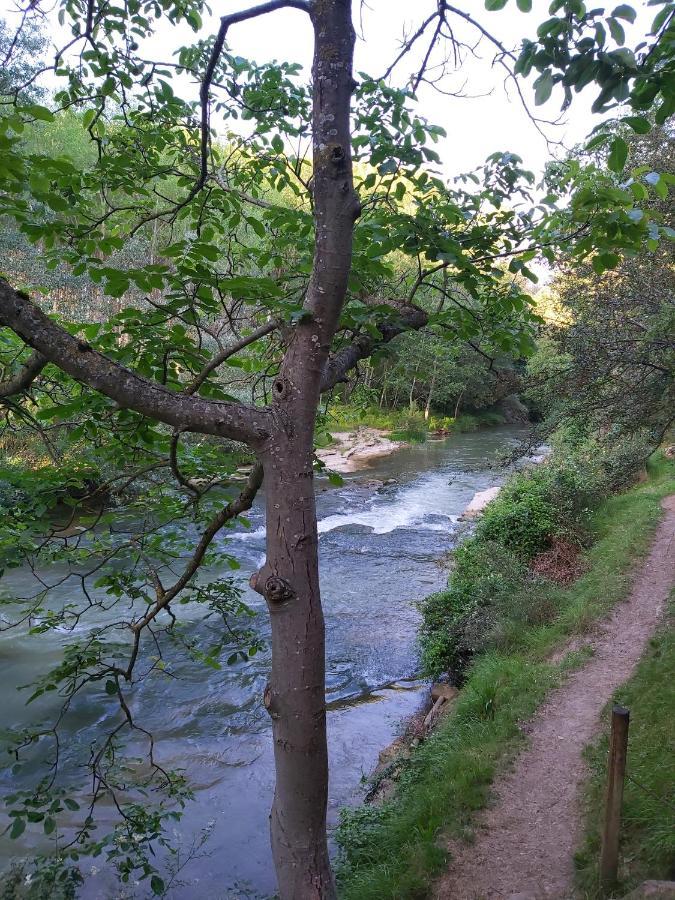Durmiendo Entre Arboles, Bonita Cabana En La Rioja Anguciana Esterno foto